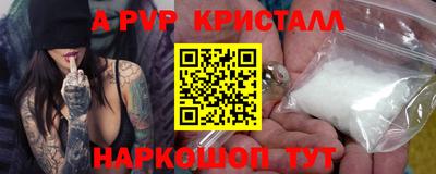 спиды Гай