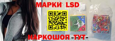 спиды Гай