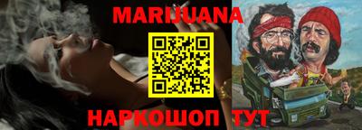 спиды Гай
