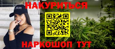 спиды Гай