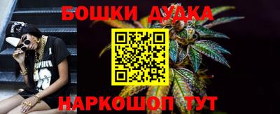 спиды Гай