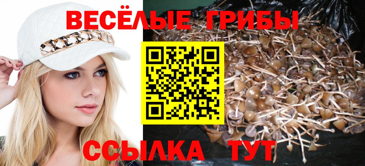 магазин продажи   Галлюциногенные грибы Magic Shrooms  Вход с VPN  Реутов 